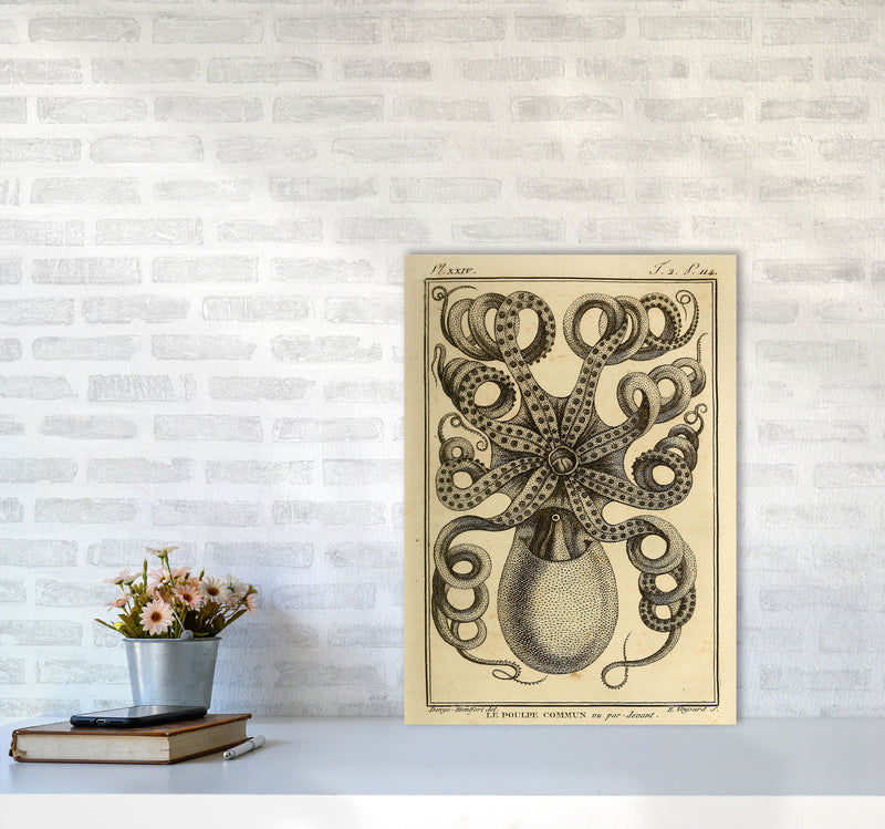 Vintage Octopus Art Print by Jason Stanley A2 Black Frame