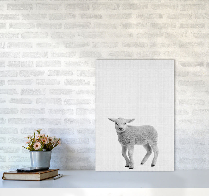 Lamb Art Print by Jason Stanley A2 Black Frame