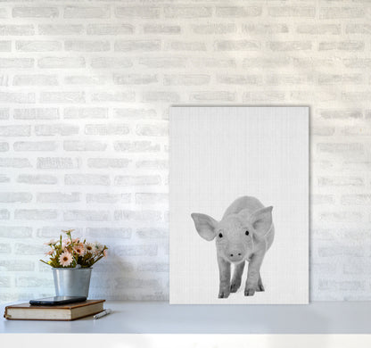 The Cutest Pig Art Print by Jason Stanley A2 Black Frame