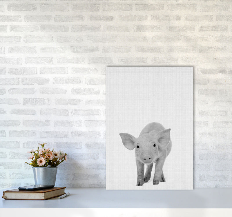 The Cutest Pig Art Print by Jason Stanley A2 Black Frame