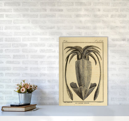 Vintage Squid 2 Art Print by Jason Stanley A2 Black Frame