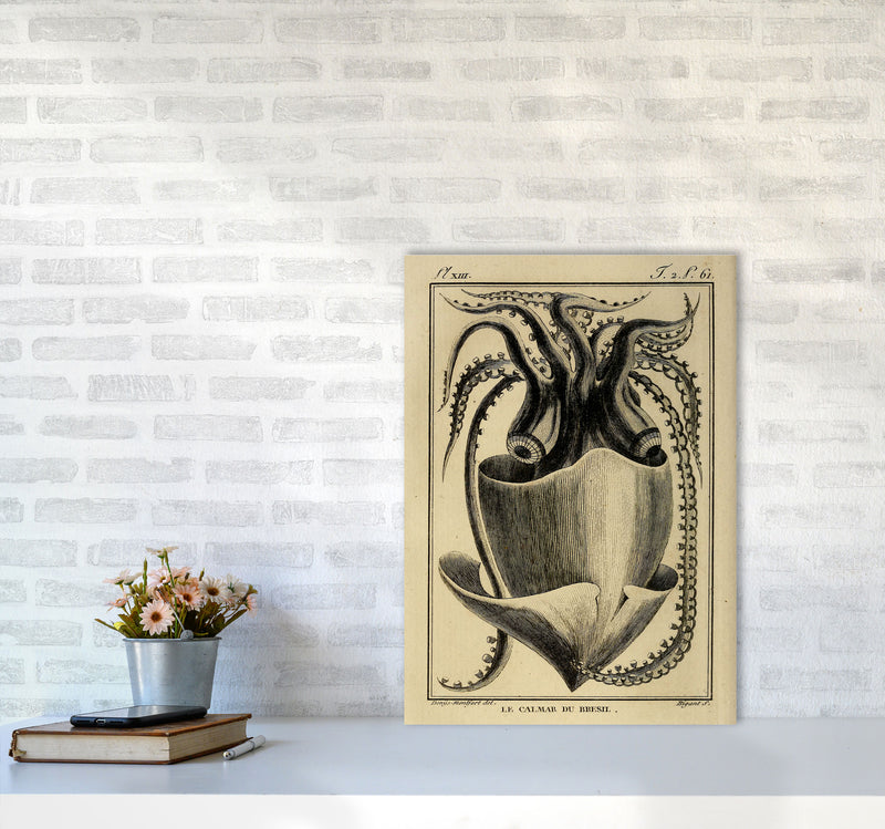 Vintage Squid Art Print by Jason Stanley A2 Black Frame