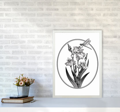 Vintage Beautiful Flower Art Print by Jason Stanley A2 Oak Frame
