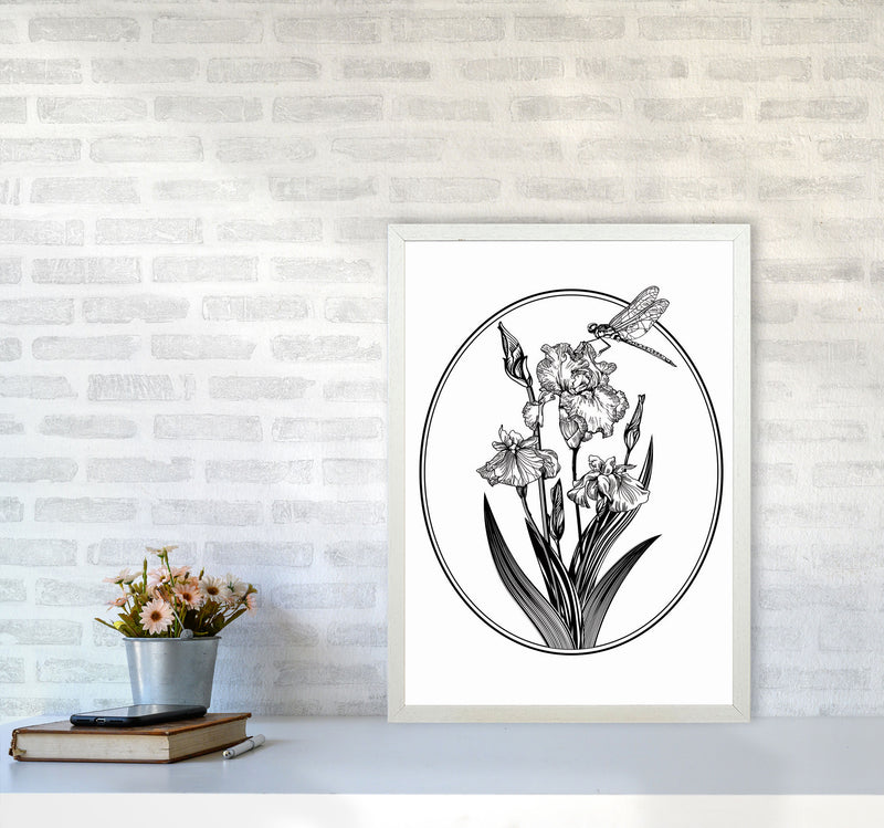Vintage Beautiful Flower Art Print by Jason Stanley A2 Oak Frame
