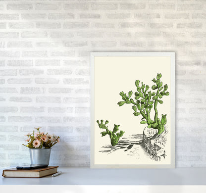 Prickly Pear Cactus Art Print by Jason Stanley A2 Oak Frame