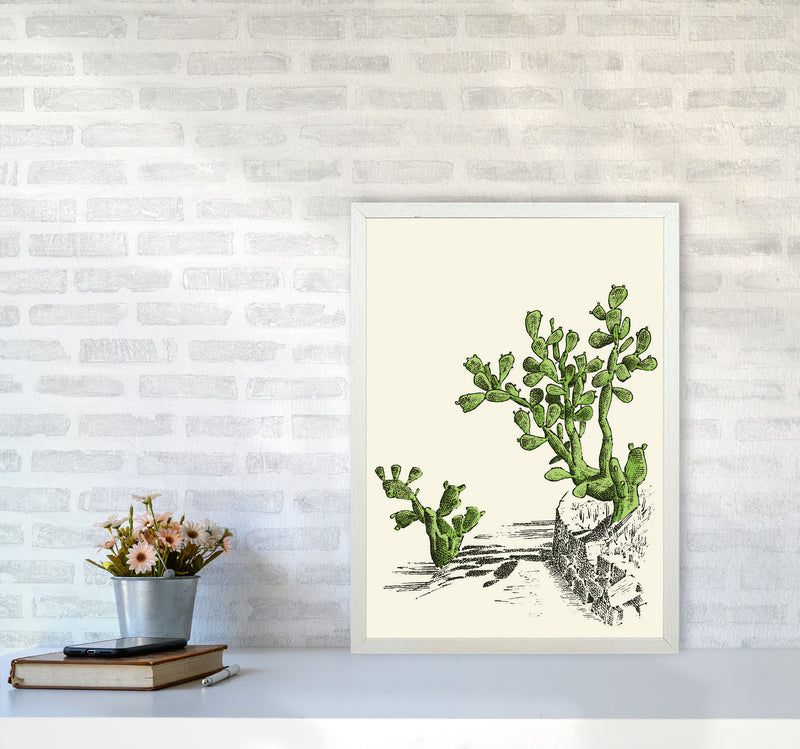 Prickly Pear Cactus Art Print by Jason Stanley A2 Oak Frame
