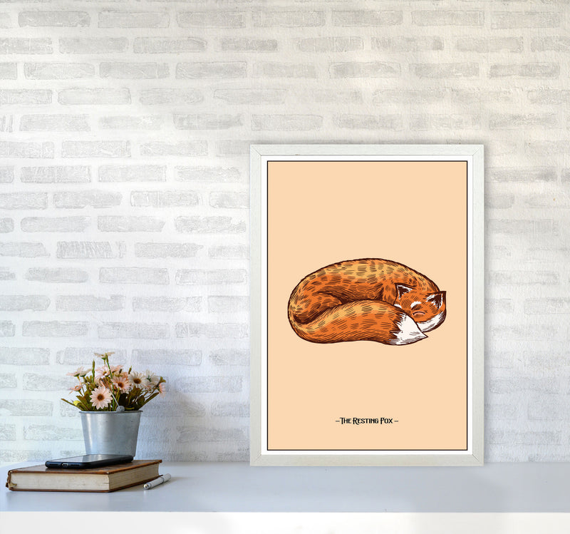 The Resting Fox Art Print by Jason Stanley A2 Oak Frame