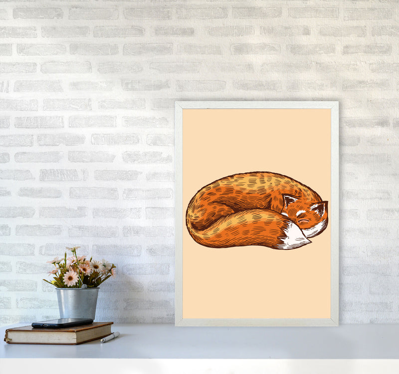 The Sleeping Fox Art Print by Jason Stanley A2 Oak Frame