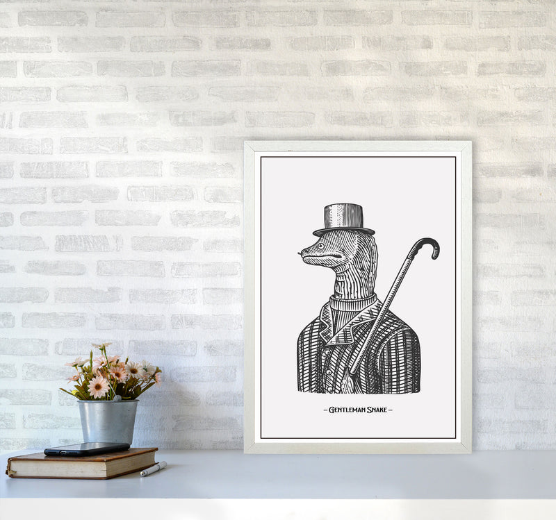 Gentlemen Snake Art Print by Jason Stanley A2 Oak Frame