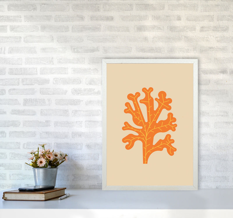 Orange Seaweed Art Print by Jason Stanley A2 Oak Frame