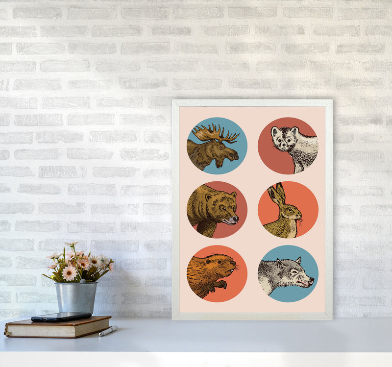 Animal Circles Art Print by Jason Stanley A2 Oak Frame