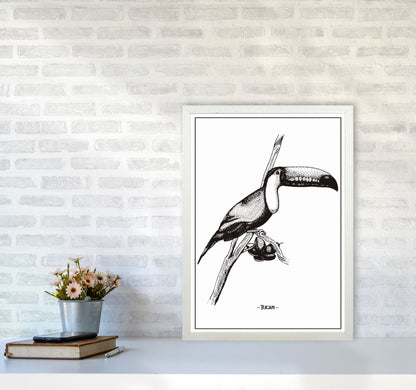 Tucan Art Print by Jason Stanley A2 Oak Frame