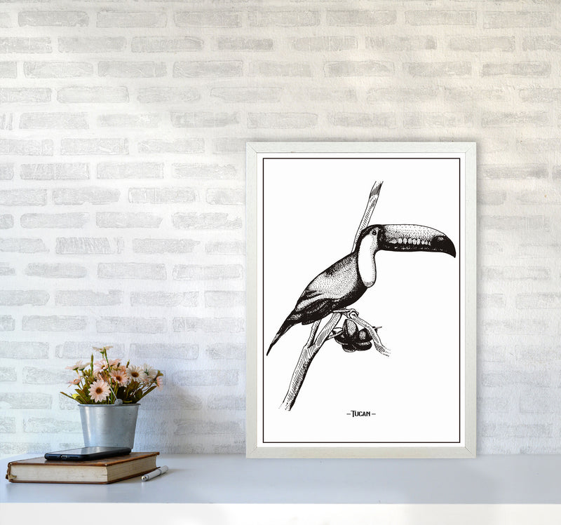 Tucan Art Print by Jason Stanley A2 Oak Frame