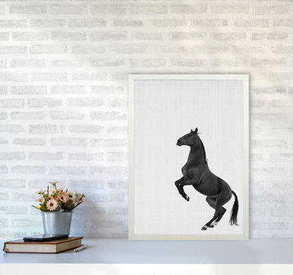 The Dark Horse Rides At Night #2 Art Print by Jason Stanley A2 Oak Frame