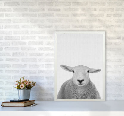 Trust This Wise Sheep Art Print by Jason Stanley A2 Oak Frame