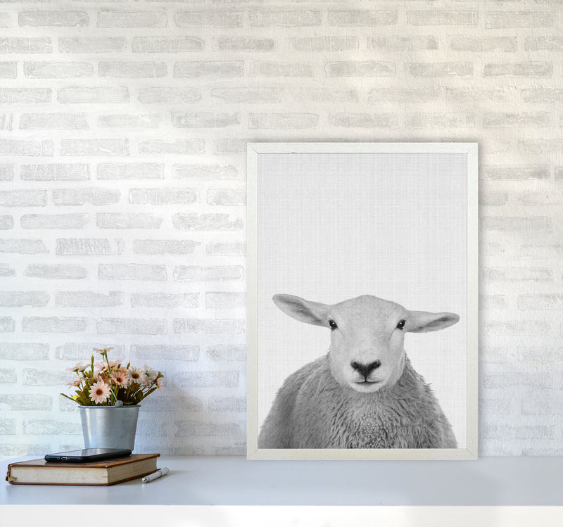 Trust This Wise Sheep Art Print by Jason Stanley A2 Oak Frame