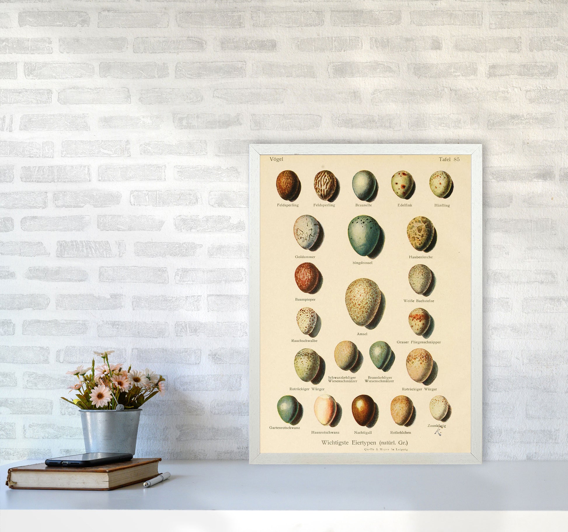 Vintage Set Of Eggs Art Print by Jason Stanley A2 Oak Frame