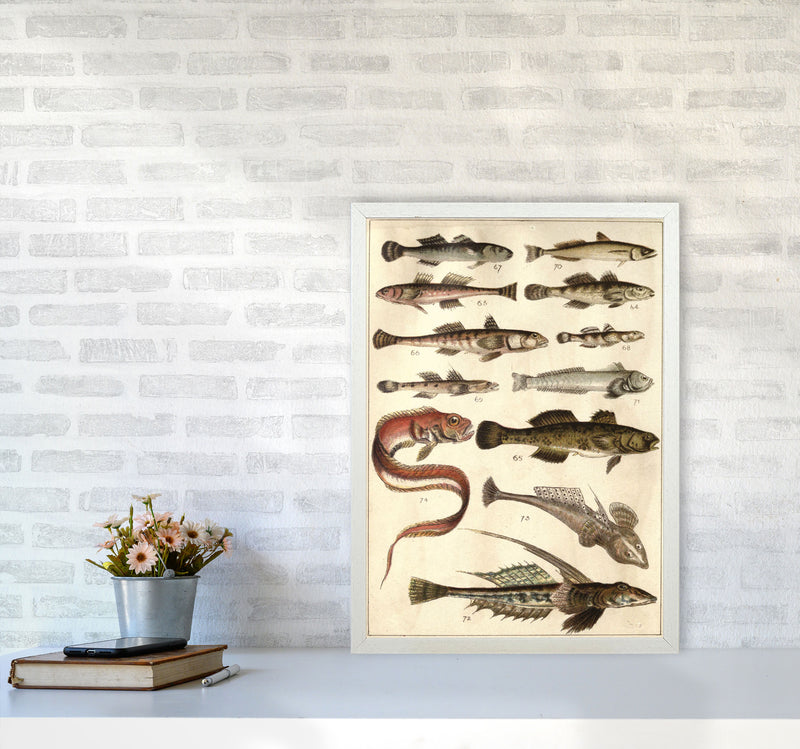 Creatures Of The Sea Art Print by Jason Stanley A2 Oak Frame