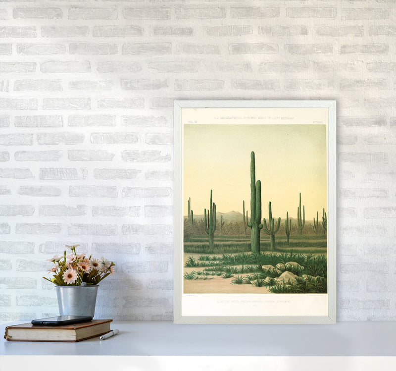 Vintage Desert Cactus Art Print by Jason Stanley A2 Oak Frame