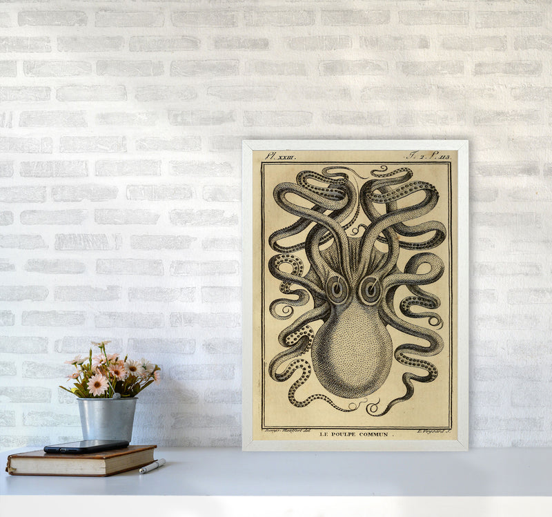 Vintage Octopus 2 Art Print by Jason Stanley A2 Oak Frame