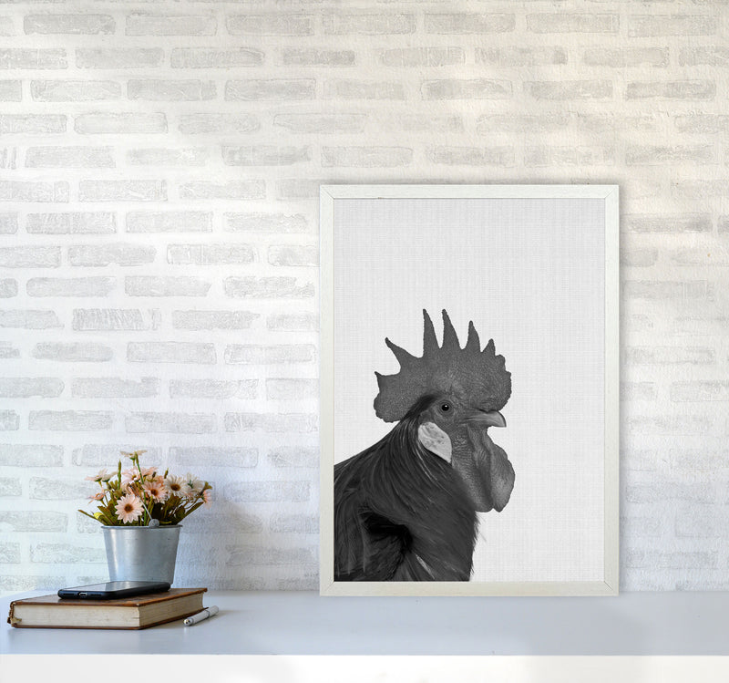 Cock A Doodle Doo Art Print by Jason Stanley A2 Oak Frame