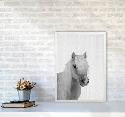 Stay Gold Pony Boy Art Print by Jason Stanley A2 Oak Frame