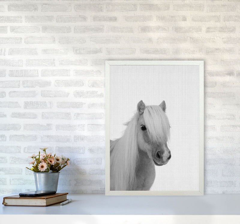 Stay Gold Pony Boy Art Print by Jason Stanley A2 Oak Frame