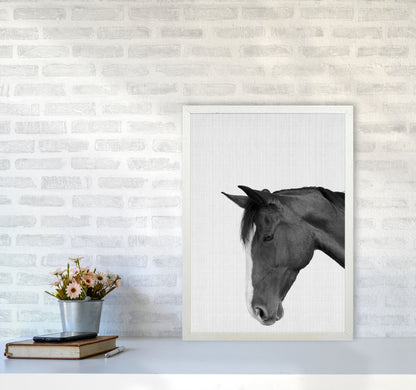 Man's Best Friend Art Print by Jason Stanley A2 Oak Frame