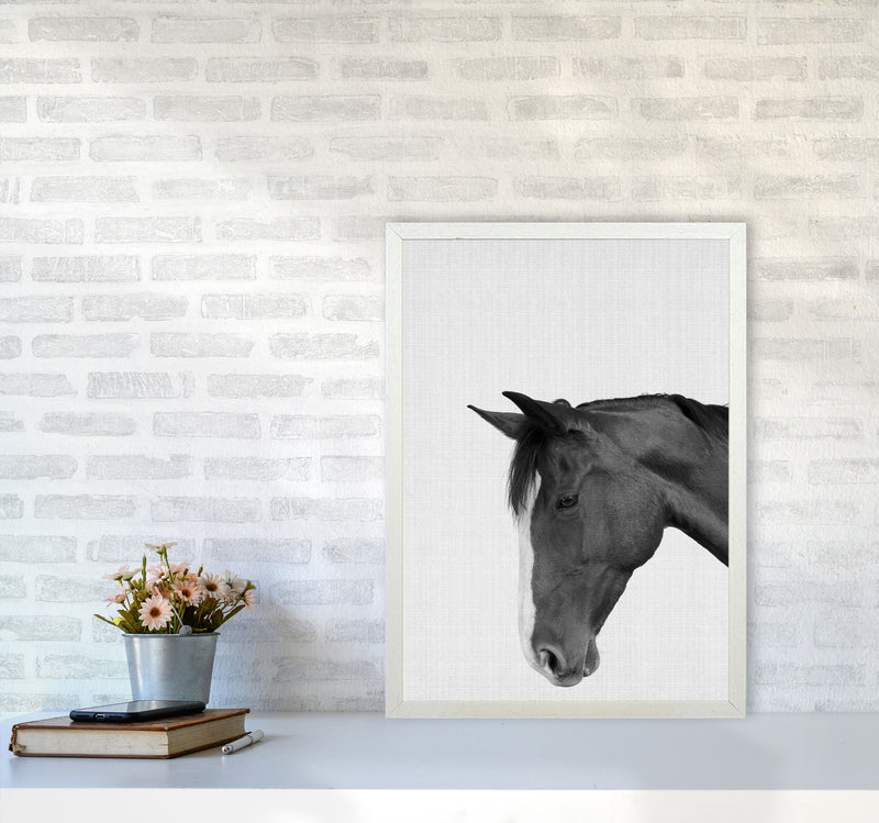 Man's Best Friend Art Print by Jason Stanley A2 Oak Frame