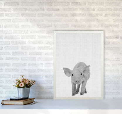 The Cutest Pig Art Print by Jason Stanley A2 Oak Frame