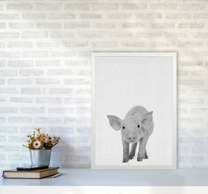 The Cutest Pig Art Print by Jason Stanley A2 Oak Frame