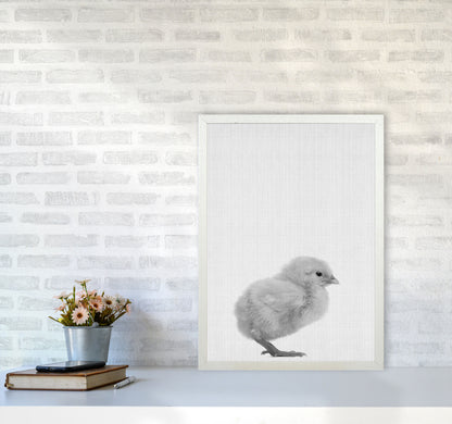 2X3_Chick Art Print by Jason Stanley A2 Oak Frame
