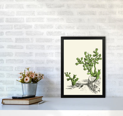 Prickly Pear Cactus Art Print by Jason Stanley A3 White Frame