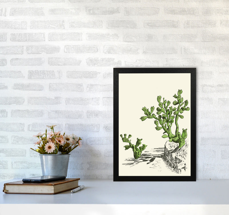Prickly Pear Cactus Art Print by Jason Stanley A3 White Frame
