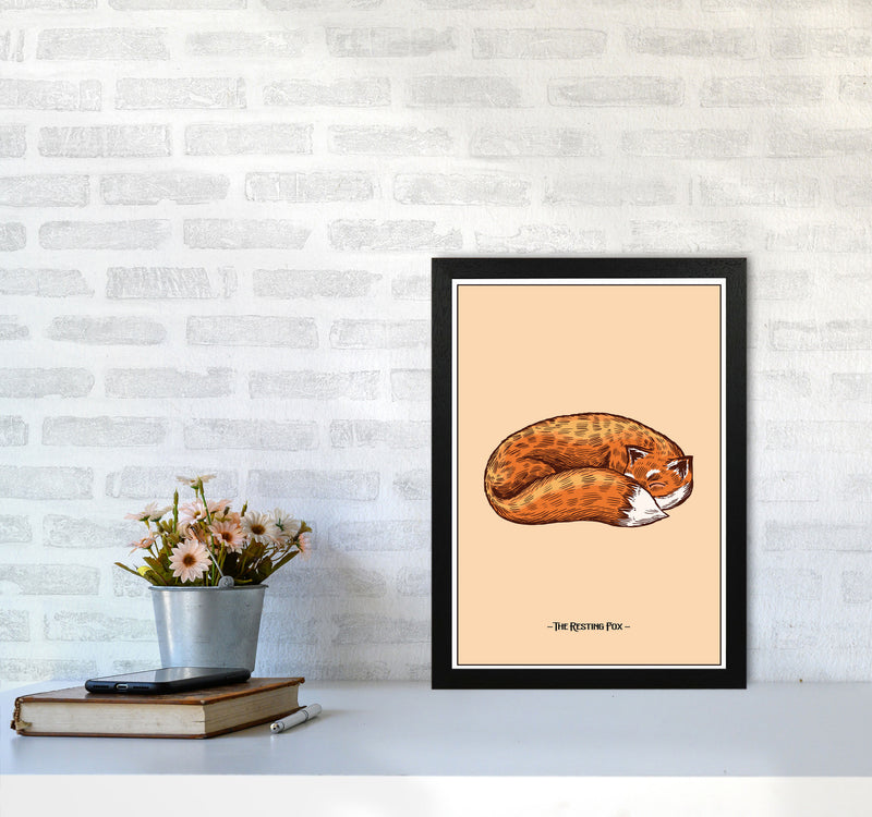 The Resting Fox Art Print by Jason Stanley A3 White Frame