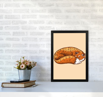 The Sleeping Fox Art Print by Jason Stanley A3 White Frame
