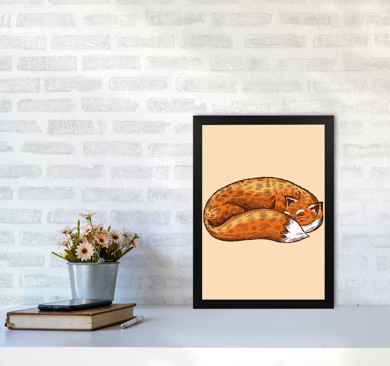 The Sleeping Fox Art Print by Jason Stanley A3 White Frame