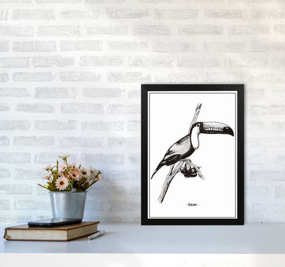 Tucan Art Print by Jason Stanley A3 White Frame