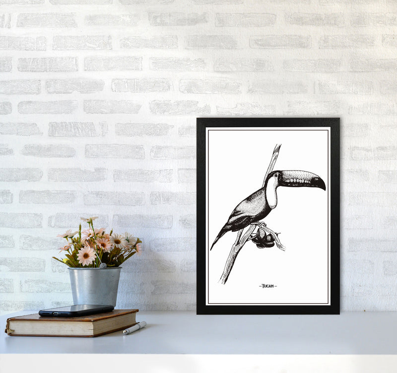 Tucan Art Print by Jason Stanley A3 White Frame
