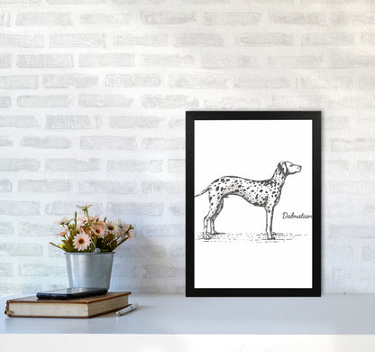 Dalmation Art Print by Jason Stanley A3 White Frame