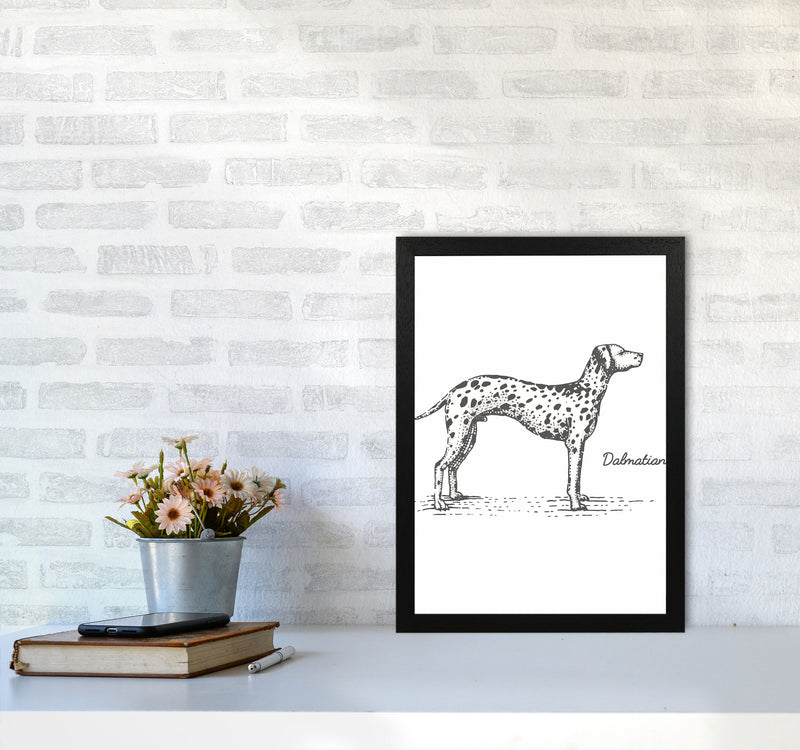 Dalmation Art Print by Jason Stanley A3 White Frame