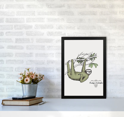 Sloth Art Print by Jason Stanley A3 White Frame