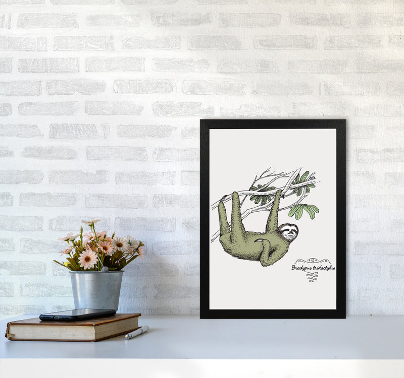 Sloth Art Print by Jason Stanley A3 White Frame