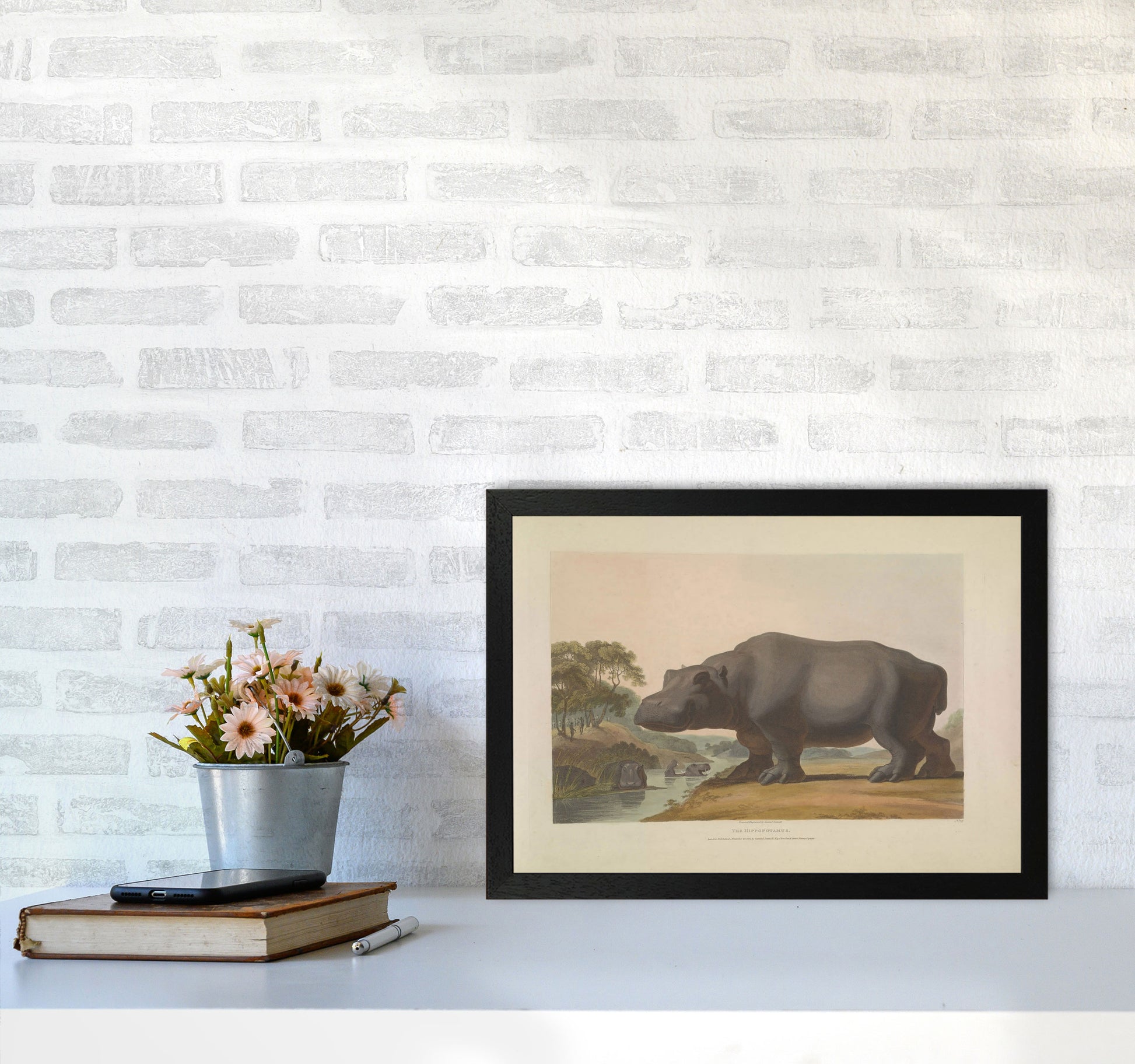 Vintage Hippo Illustration Art Print by Jason Stanley A3 White Frame