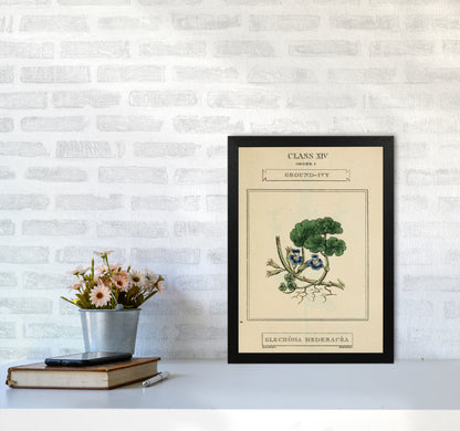 Vintage Flower Series 8 Art Print by Jason Stanley A3 White Frame