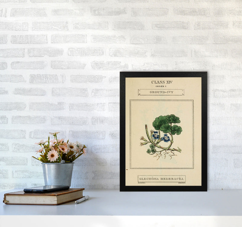Vintage Flower Series 8 Art Print by Jason Stanley A3 White Frame