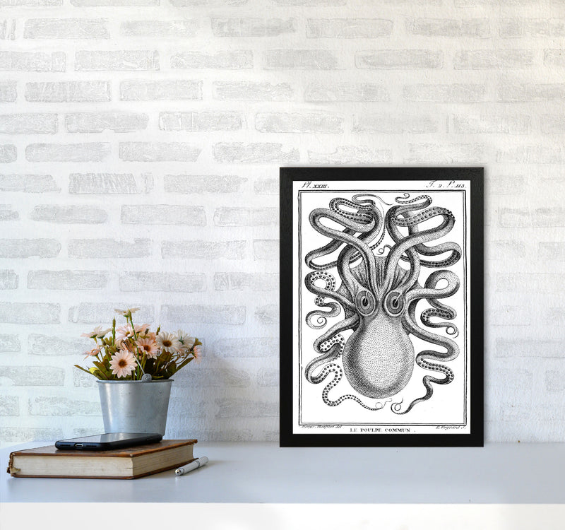 White Vintage Octopus Art Print by Jason Stanley A3 White Frame