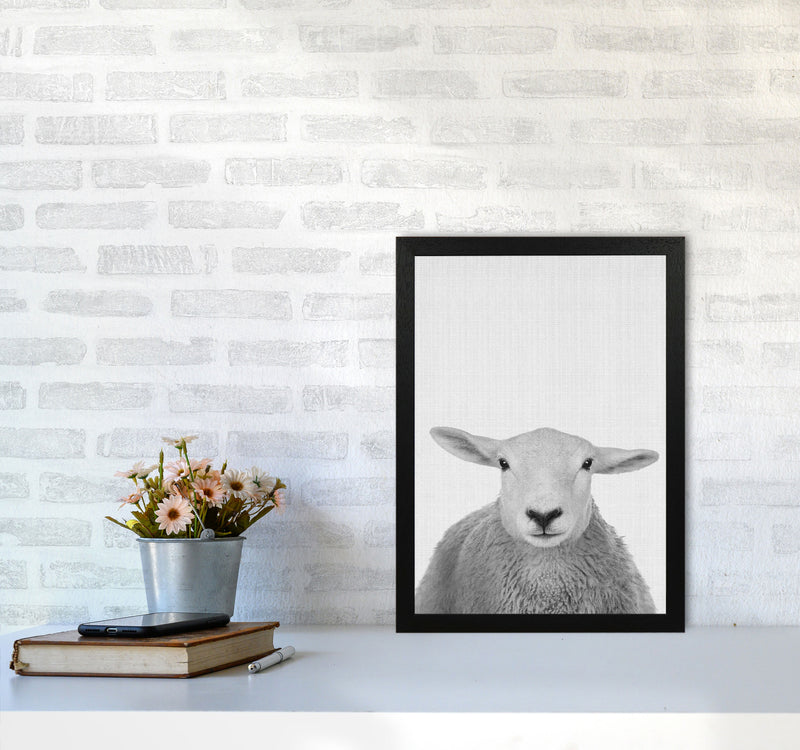 Trust This Wise Sheep Art Print by Jason Stanley A3 White Frame