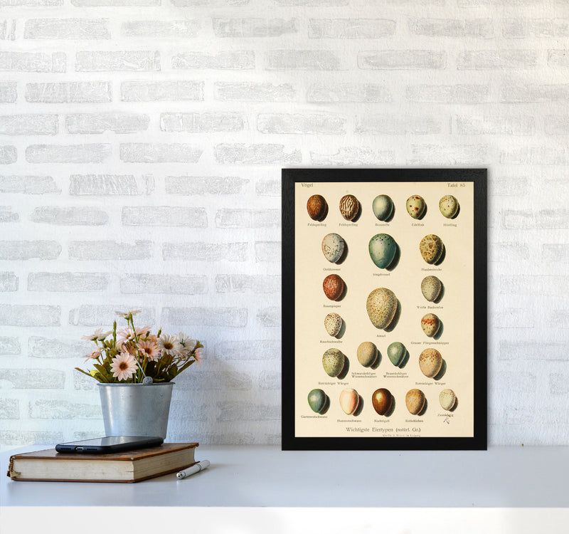 Vintage Set Of Eggs Art Print by Jason Stanley A3 White Frame