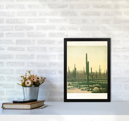 Vintage Desert Cactus Art Print by Jason Stanley A3 White Frame
